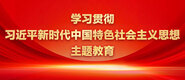 男女艹插扣扣逼学习贯彻习近平新时代中国特色社会主义思想主题教育_fororder_ad-371X160(2)